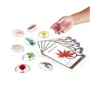 Beobachtungsgläser - Pflanzen