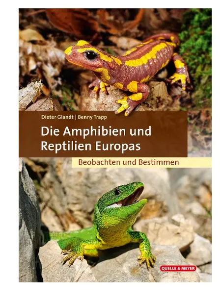 Die Amphibien und Reptilien Europas