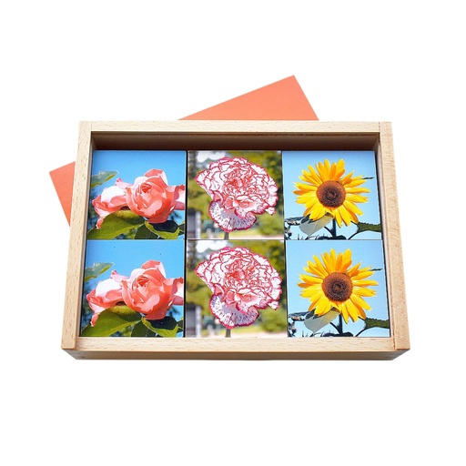 [104246] MEMO Blumen