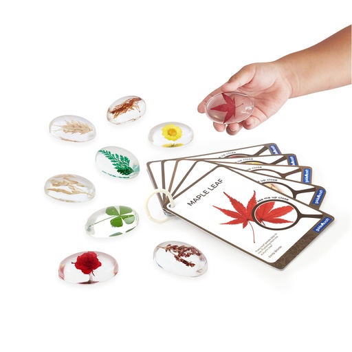 [104314] Beobachtungsgläser - Pflanzen