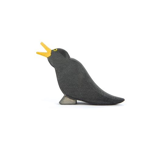 [105259W] Amsel