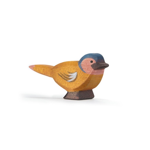 [105261W] Buchfink