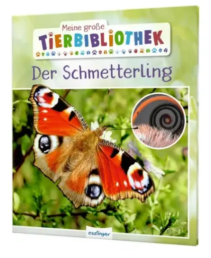 [978-3-480-23620-6] Meine große Tierbibliothek: Der Schmetterling